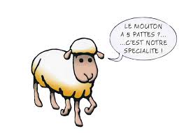 Mouton5pattes